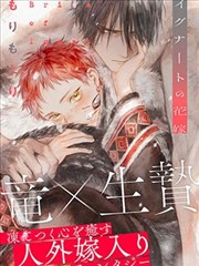 龙猫 经典动漫电影大全